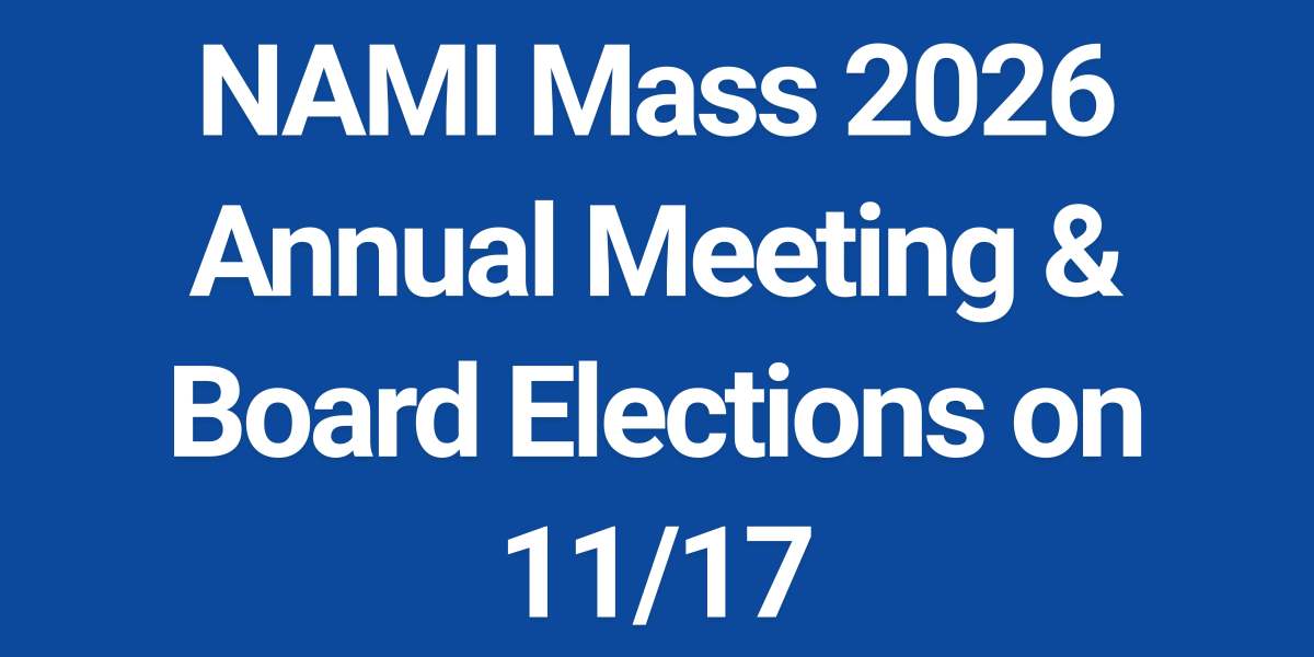 NAMI Mass Board of Directors Nominations Are Open (Medium Banner (US) (Landscape)) (4)