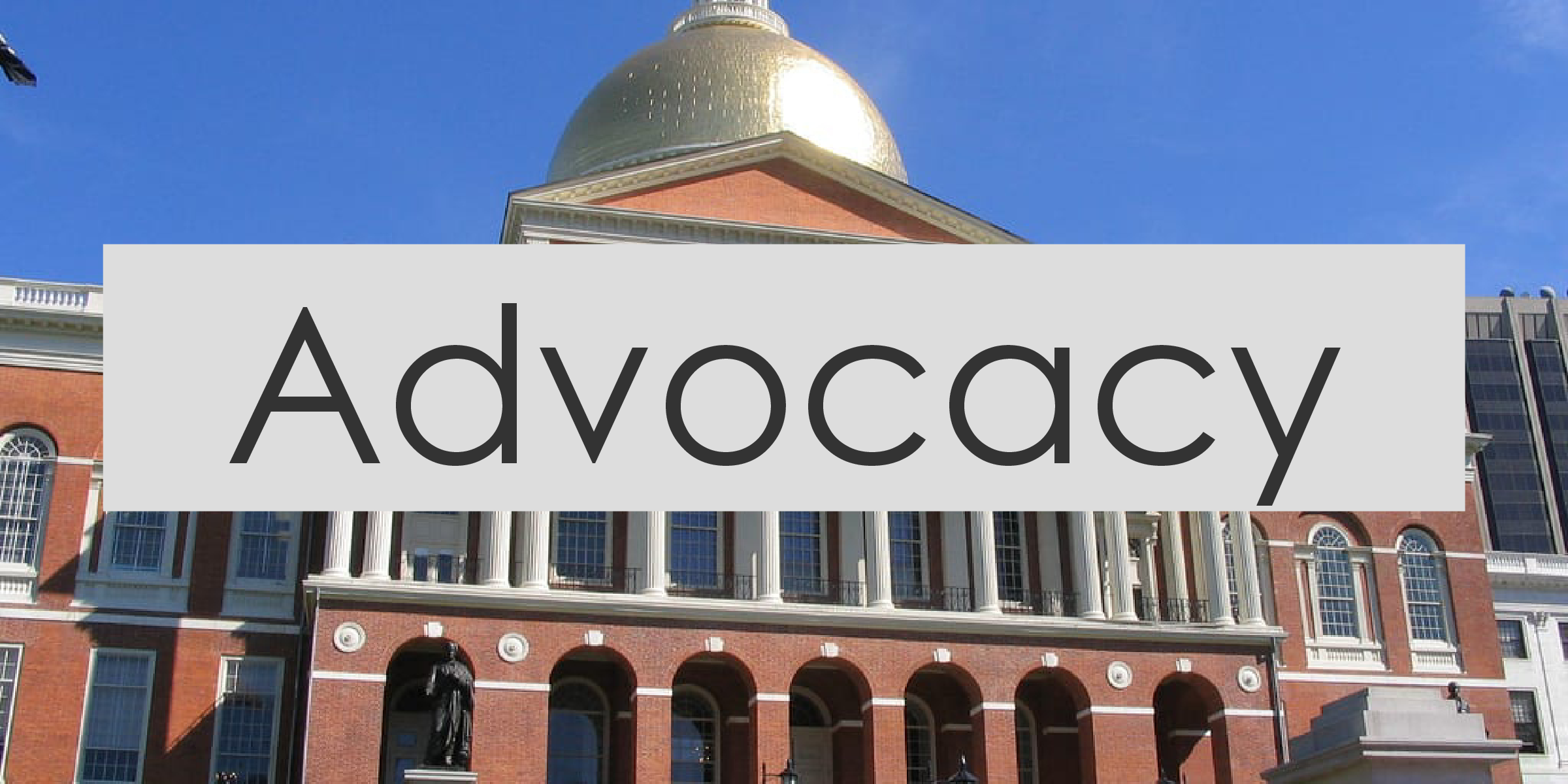 advocacy